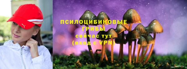 спиды Майский