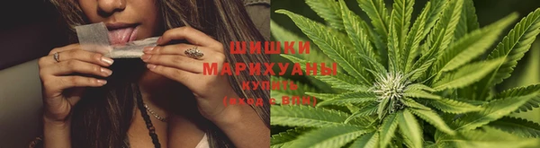 прущая мука Магас