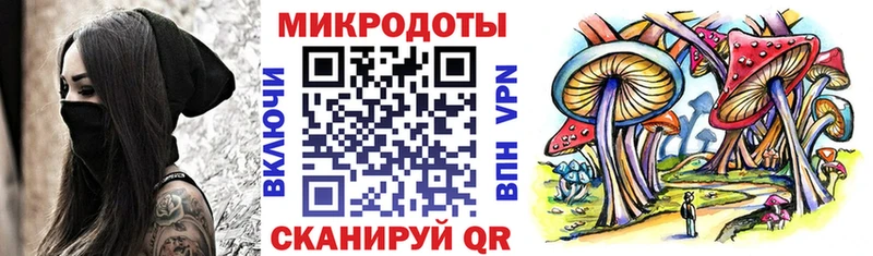 hydra сайт  продажа наркотиков  Фокино  Псилоцибиновые грибы Cubensis 